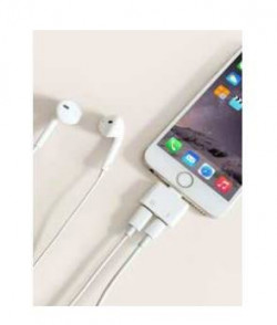 2 in 1 iPhone adapter