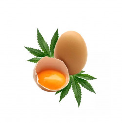 A gyógynövényes tojás