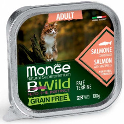 Monge Cat lazac Paté terrine Salmon with Vegetables – Adult